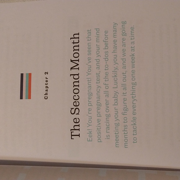 The First Time Pregnancy Handbook - Picture 7 of 9